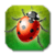Garden Bug Smasher