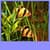 Best Aquarium Live Wallpapers