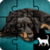 Dog Jigsaw Puzzle FatCatApps