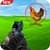 Farm Chicken Shooter