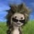 Talking Harry the Hedgehog