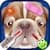 Pet Vet Doctor