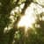 Nature Live Wallpaper 33