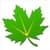 Greenify only