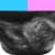 PregnancyUS