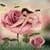 Fairy In Rose LWP