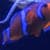 Nature Live Wallpaper 140