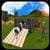 New Animal Transporting Truck Simulator