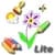 WordSeek HD
