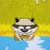 Little Raccoon Looking Towel
