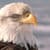 Nature Live Wallpaper 35