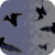 Bird Invasion Live Wallpaper