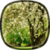 Flowers Pro LWP HD