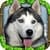 Stray Dog Simulator excess