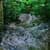 Nature Live Wallpaper 50