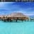 Beach House