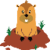 Groundhog Hunter
