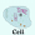 Cell Biology