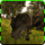 Wild Life - Wolf