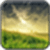 Miscellaneous Wallpaper_1