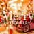 Merry Christmas Greeting and Happy New Year