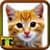 Cat Photos