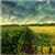 Amazing Countryside Live
