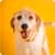 Happy Dog Live Wallpaper