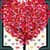 Top Valentine Photo Collage