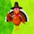 Thanksgiving Greeting Cards