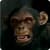 Evil Monkey 3D Live Wallpaper