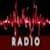 The Electronic Radio