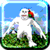 Crazy Jungle Game