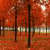 Nature HD LIVE Wallpapers 2015