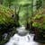 Coldwater Creek Live Wallpaper