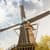 Beautiful Windmills Live