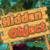 Adventure Farm Hidden Objects