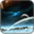Miscellaneous Image_1