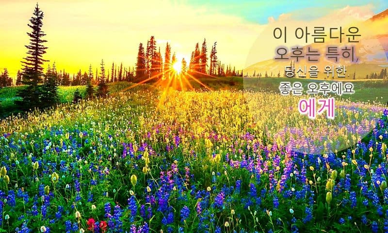 993932_4.jpg