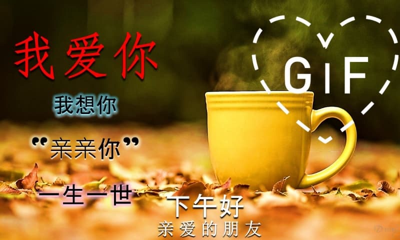 971657_5.jpg