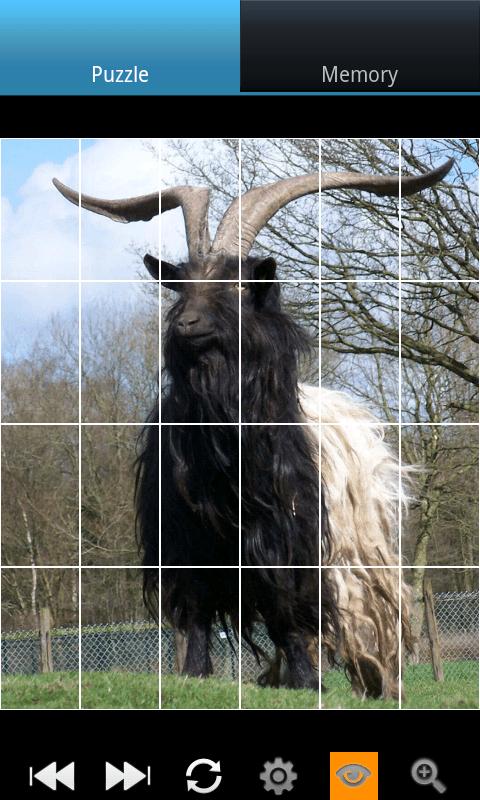 641317_6.png
